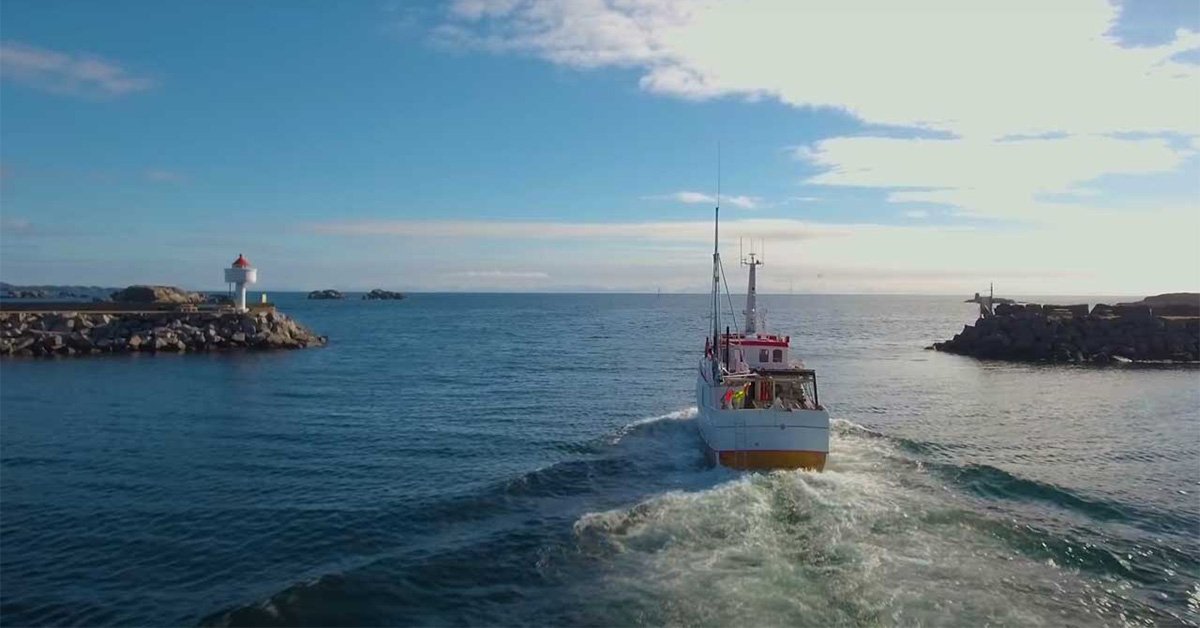 Olje-eller-Fisk-Lofoten-Vesteraalen-Senja1